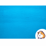 Ozzy Vet-Bed Liner | Teal