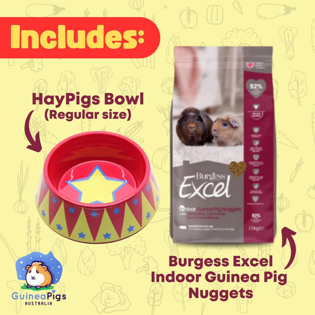 Peckish Piggy Bundle