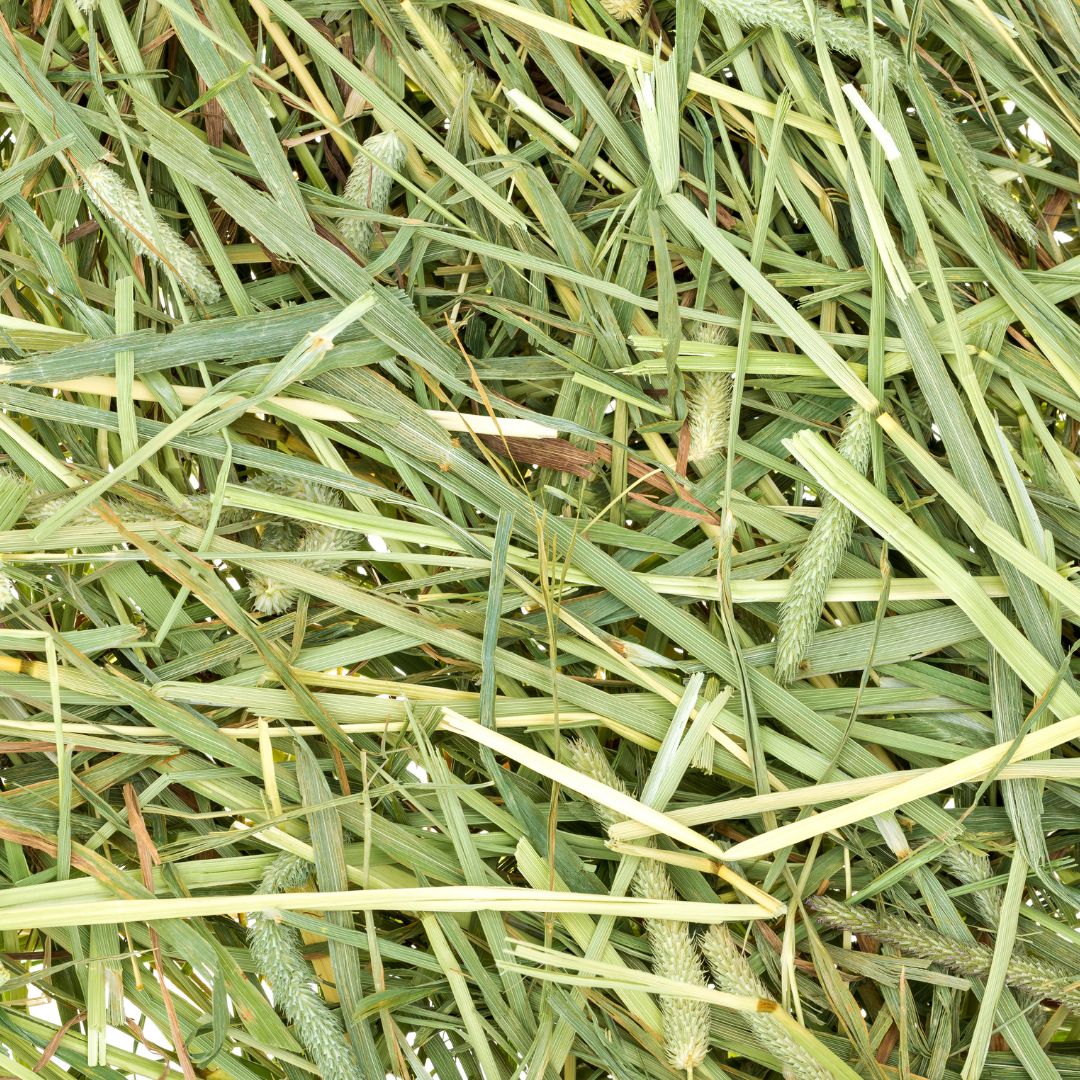 Ozzy Pets Australian Timothy Hay ~1.5kg
