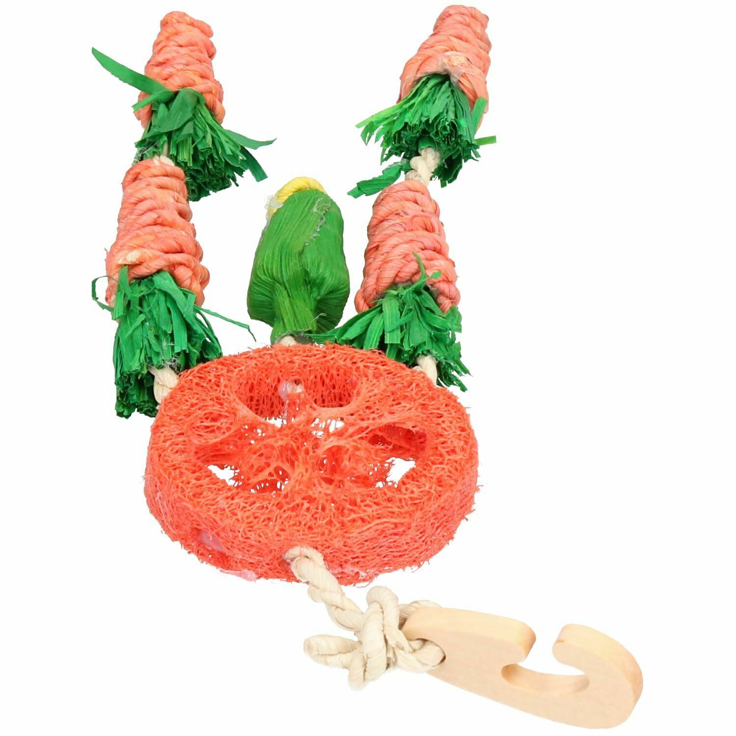 Carrot Dream Catcher