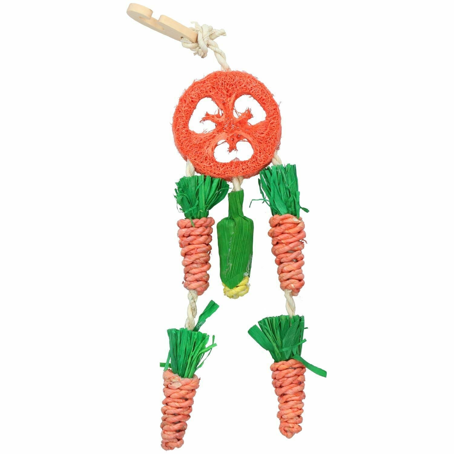 Carrot Dream Catcher