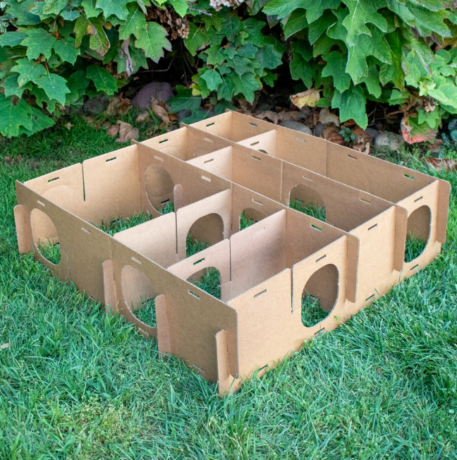 Play and Hide Maze Haven for Rabbits