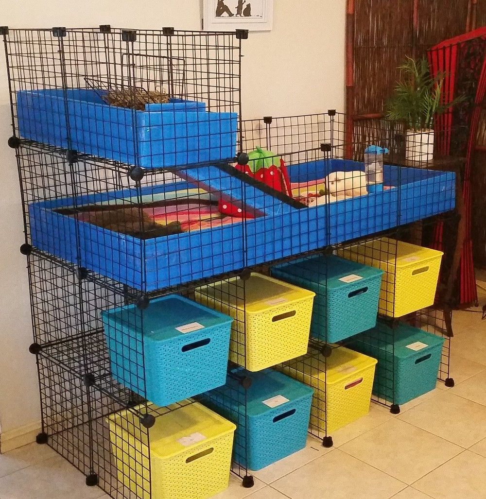 2 x 5 Cage Stand - Guinea Pigs Australia