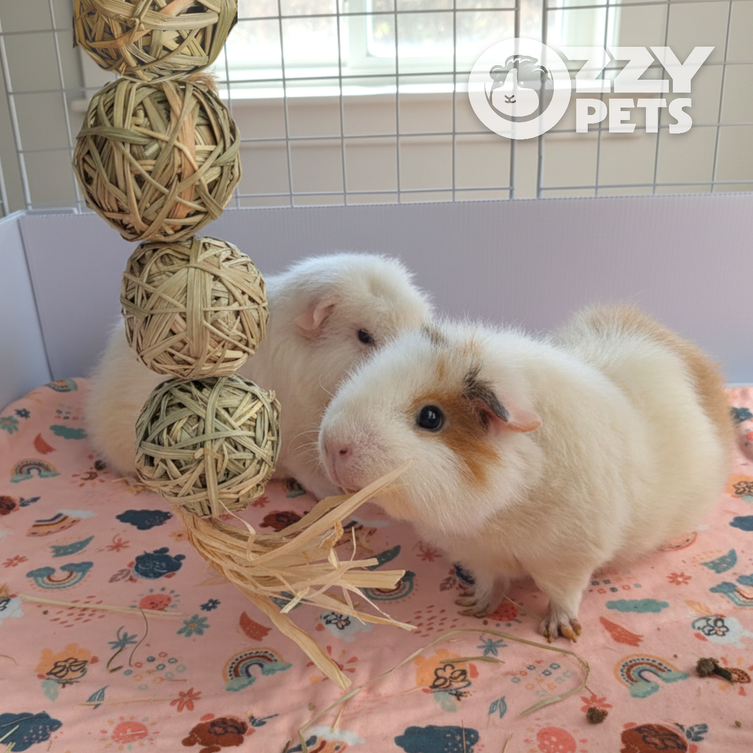Ozzy Pets 4-Ball Hanger