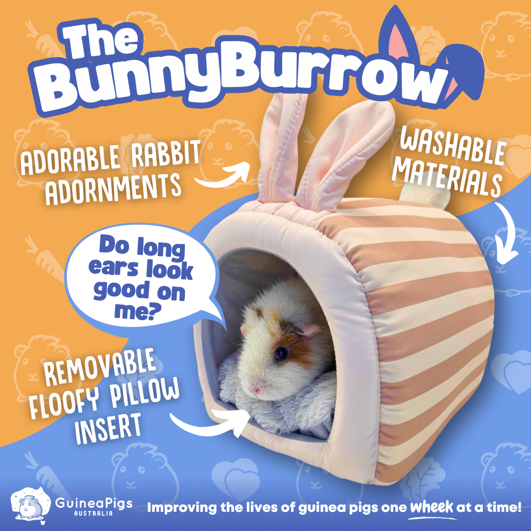 The Bunny Burrow