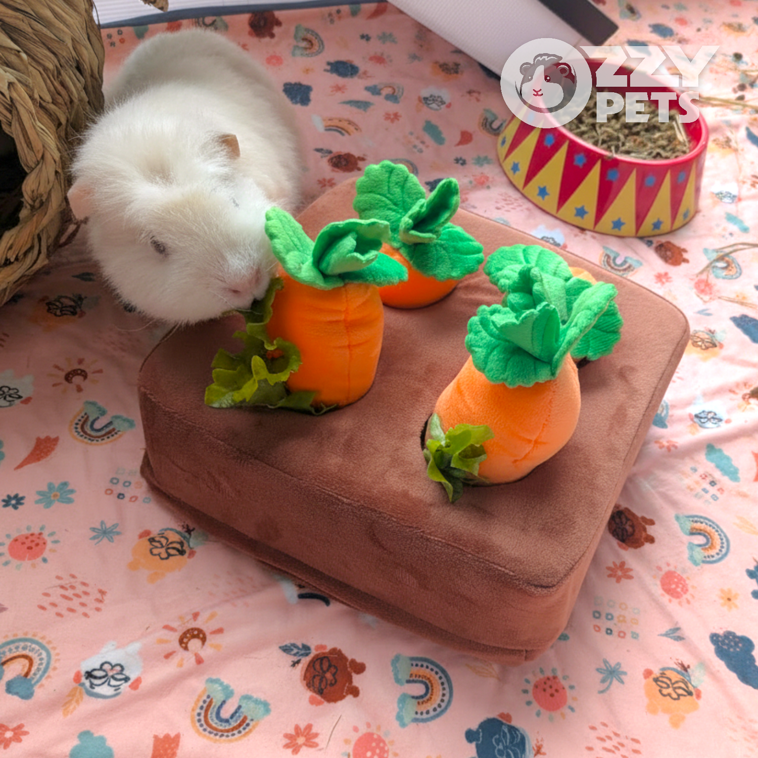 Ozzy Pets Carrot Harvest Toy