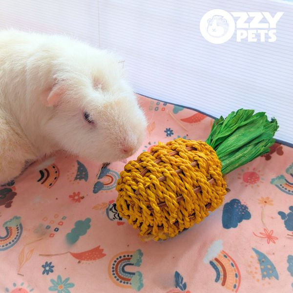 Ozzy Pets Chompy Pineapple – Edible Chew Toy for Guinea Pigs, Rabbits, Rats & Mice
