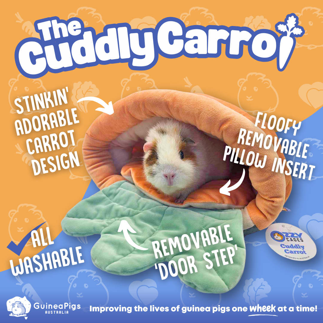 Cuddly Carrot Bed