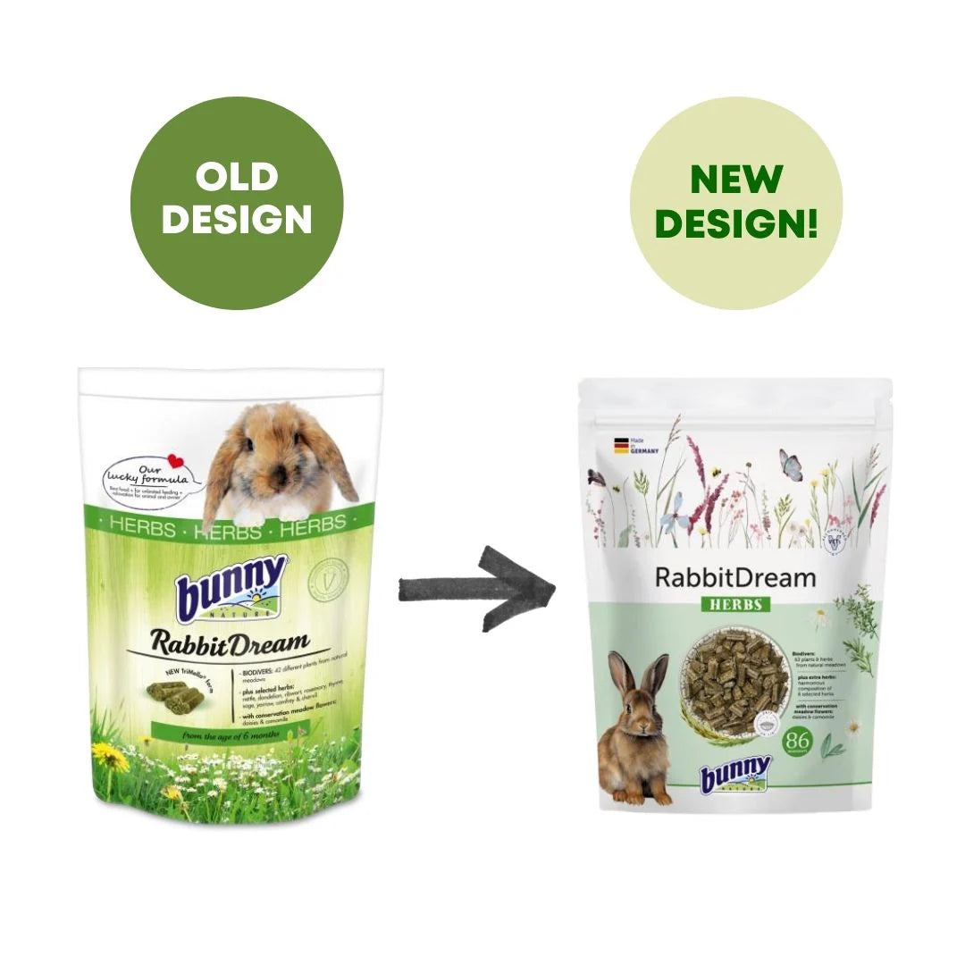 Bunny Nature Rabbit Dream Herbs