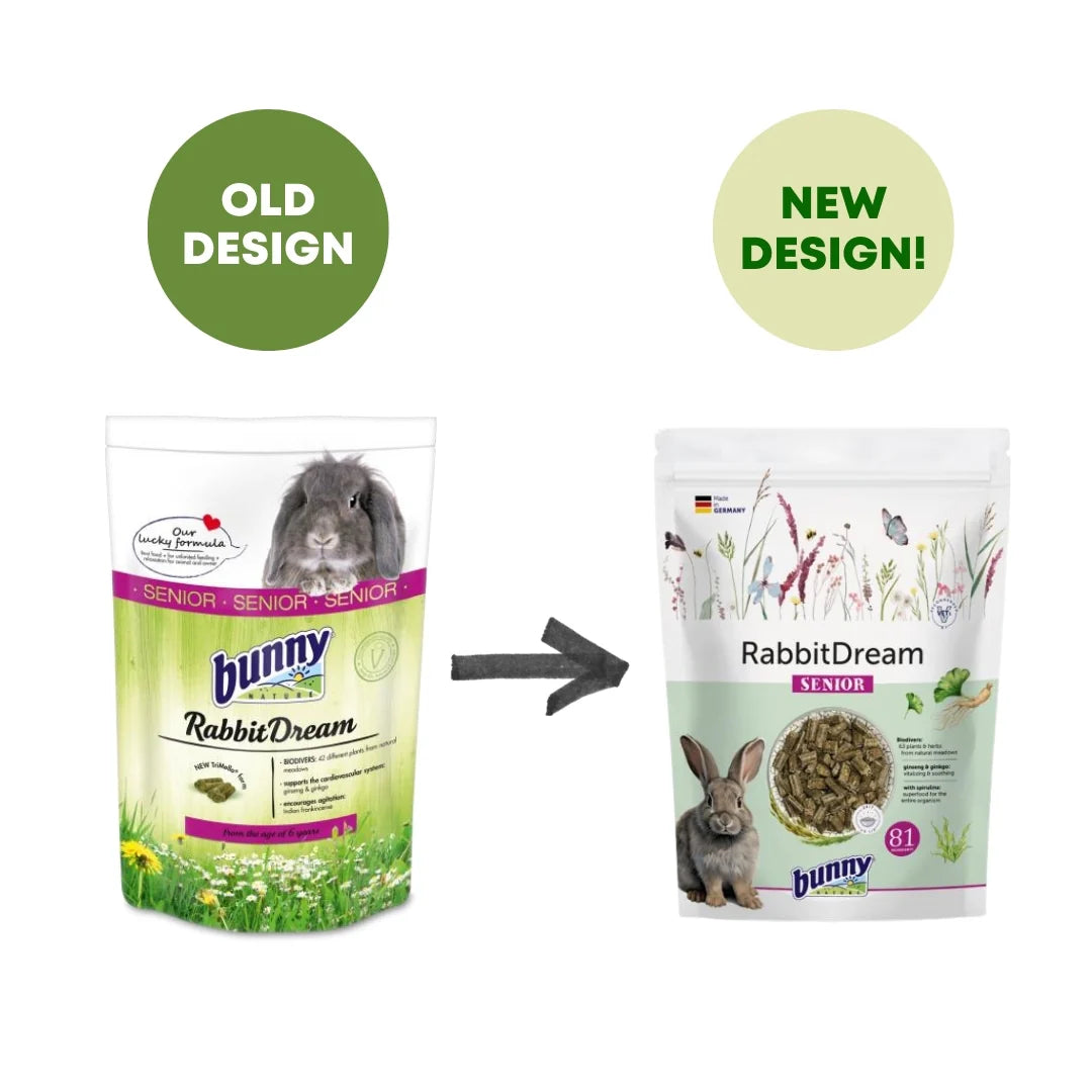 Bunny Nature Rabbit Dream Senior