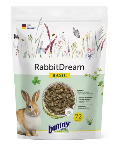 Bunny Nature Rabbit Dream Basic