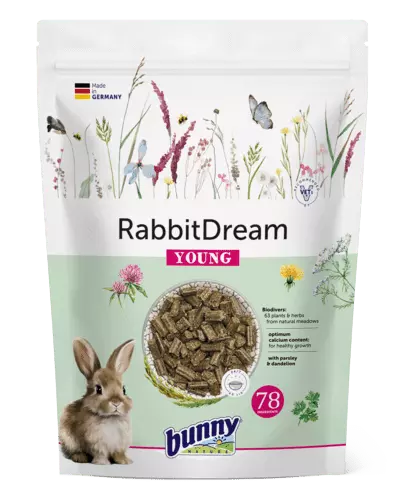 Bunny Nature Rabbit Dream Young