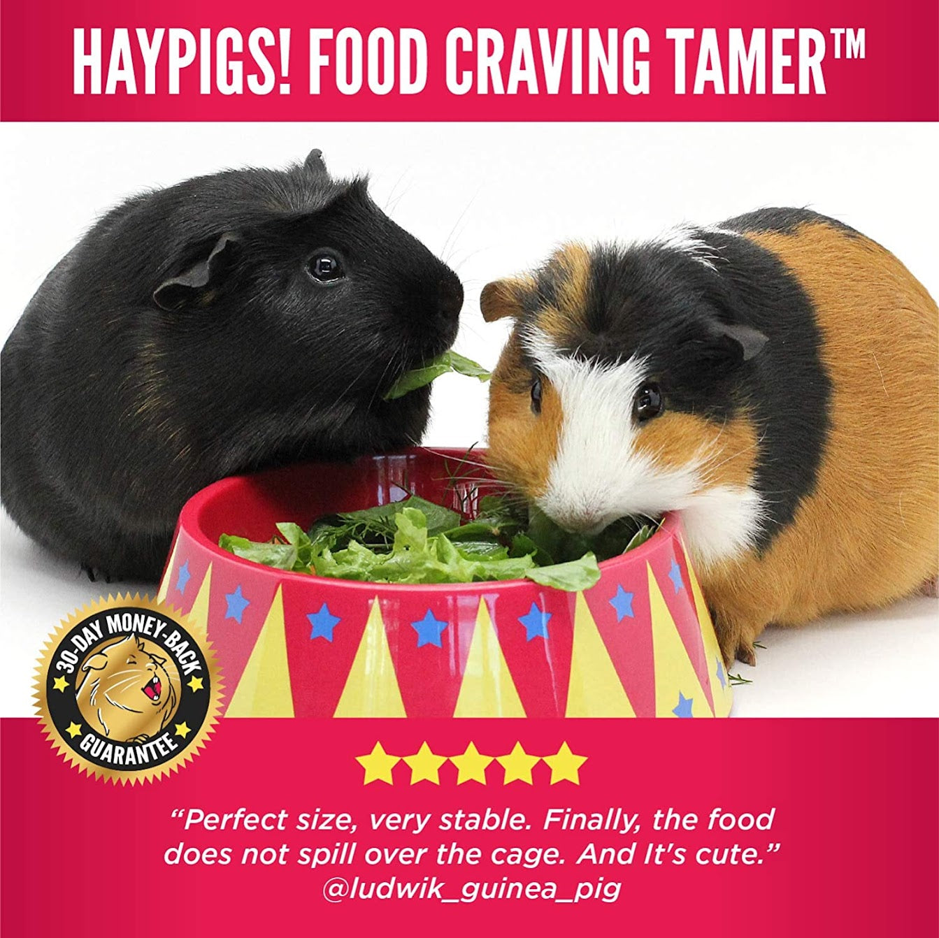 Food Craving Tamer Bowl by HAYPIGS!®