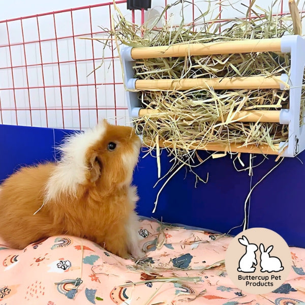 Buttercup Pet Products Hay Rack (Medium 20cm)