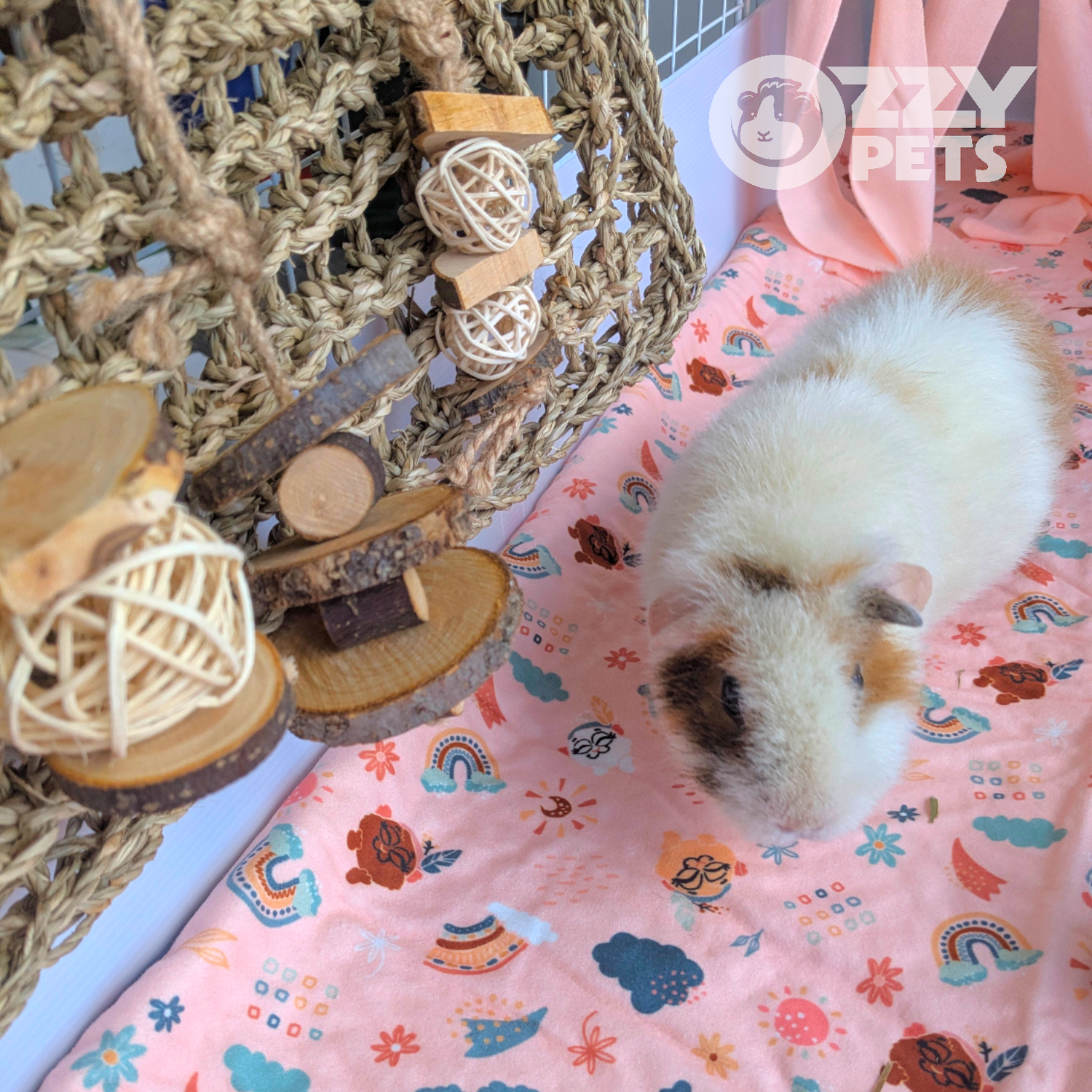 Ozzy Pets Playwall