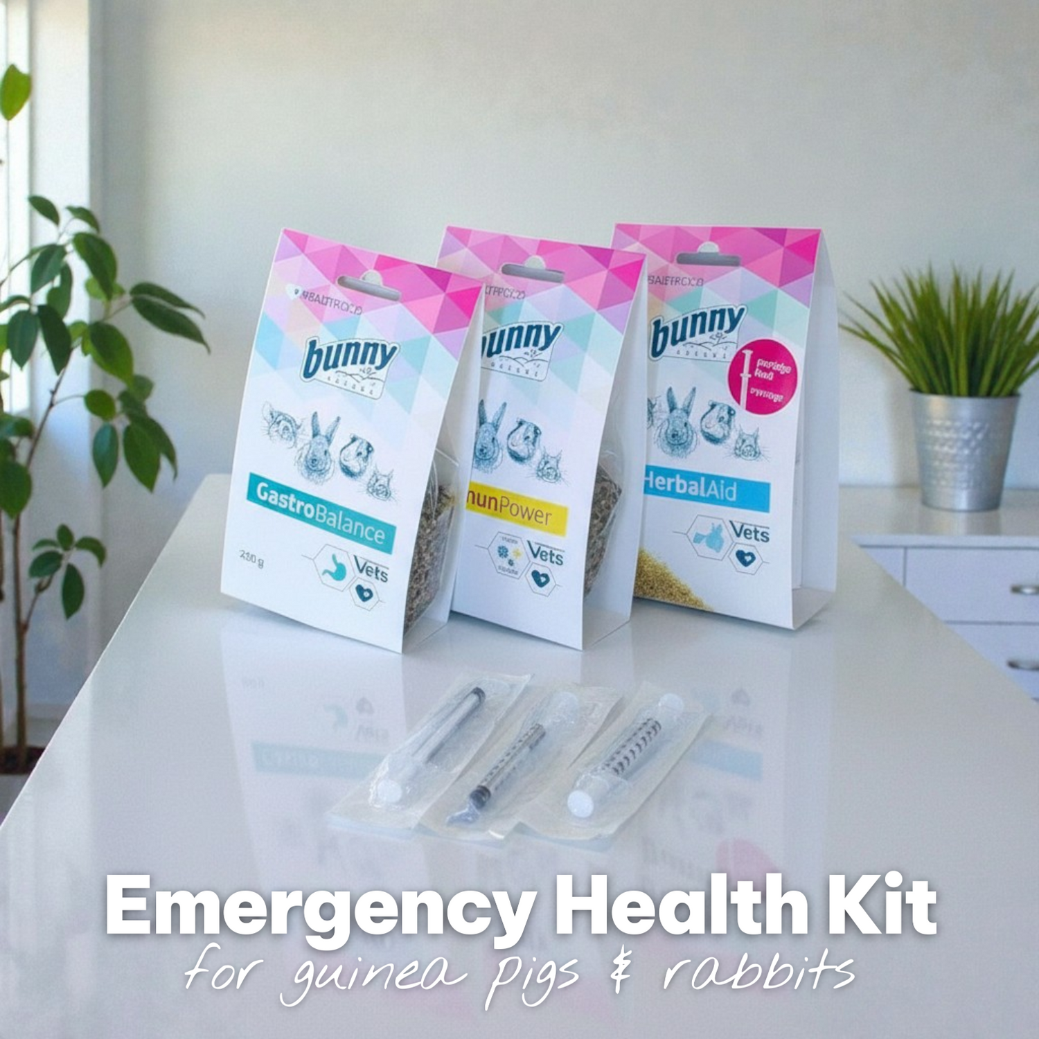 Emergency Health Kit for Guinea Pigs & Rabbits