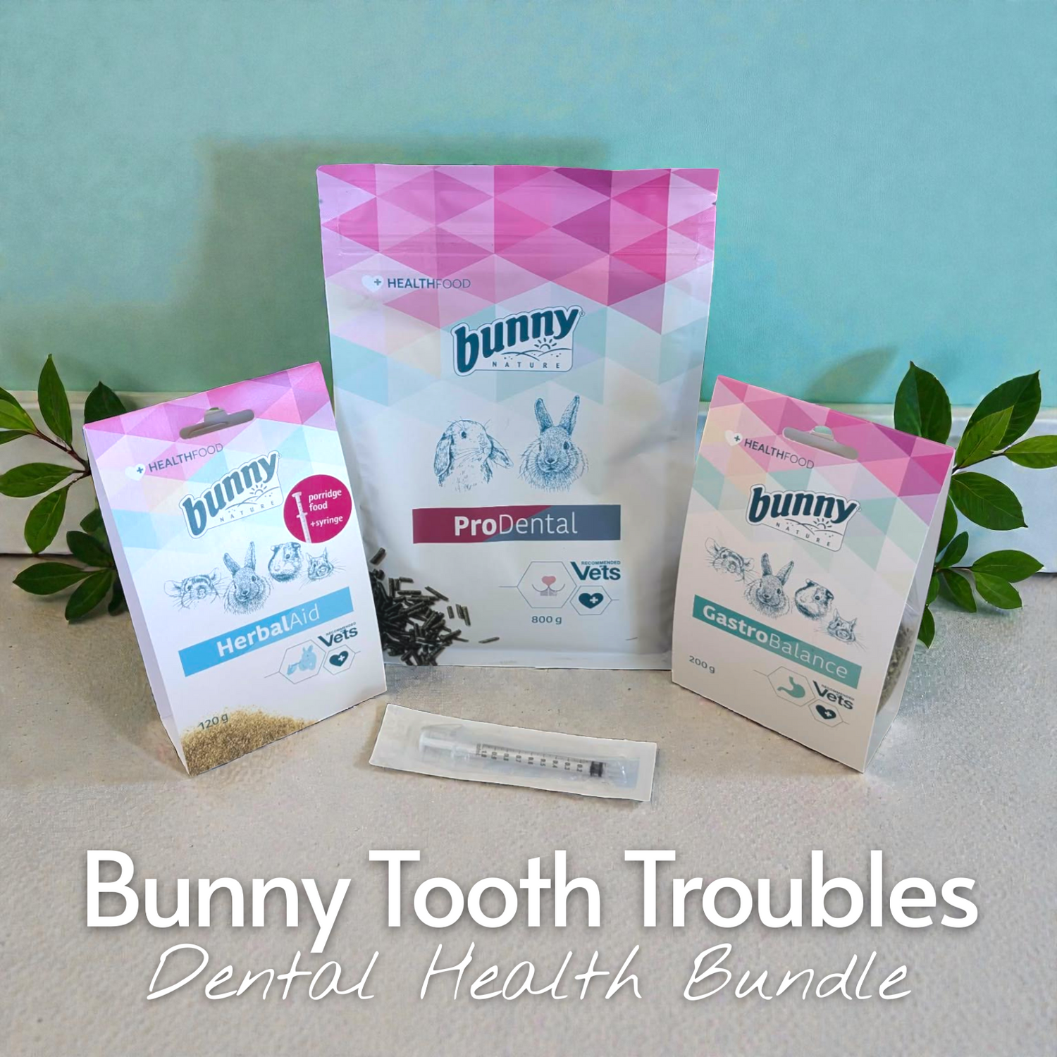 Bunny Tooth Troubles - Rabbit Dental Health Kit