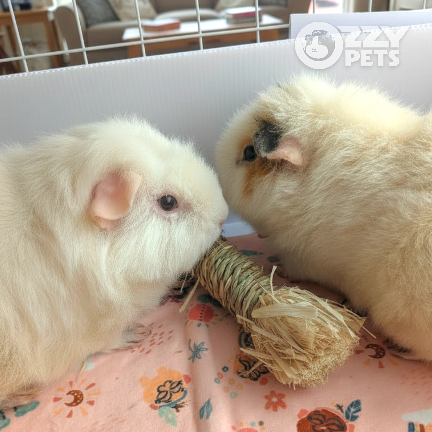 Ozzy Pets Woven Raffia Bundles – Natural Chew & Forage Enrichment for Small Pets
