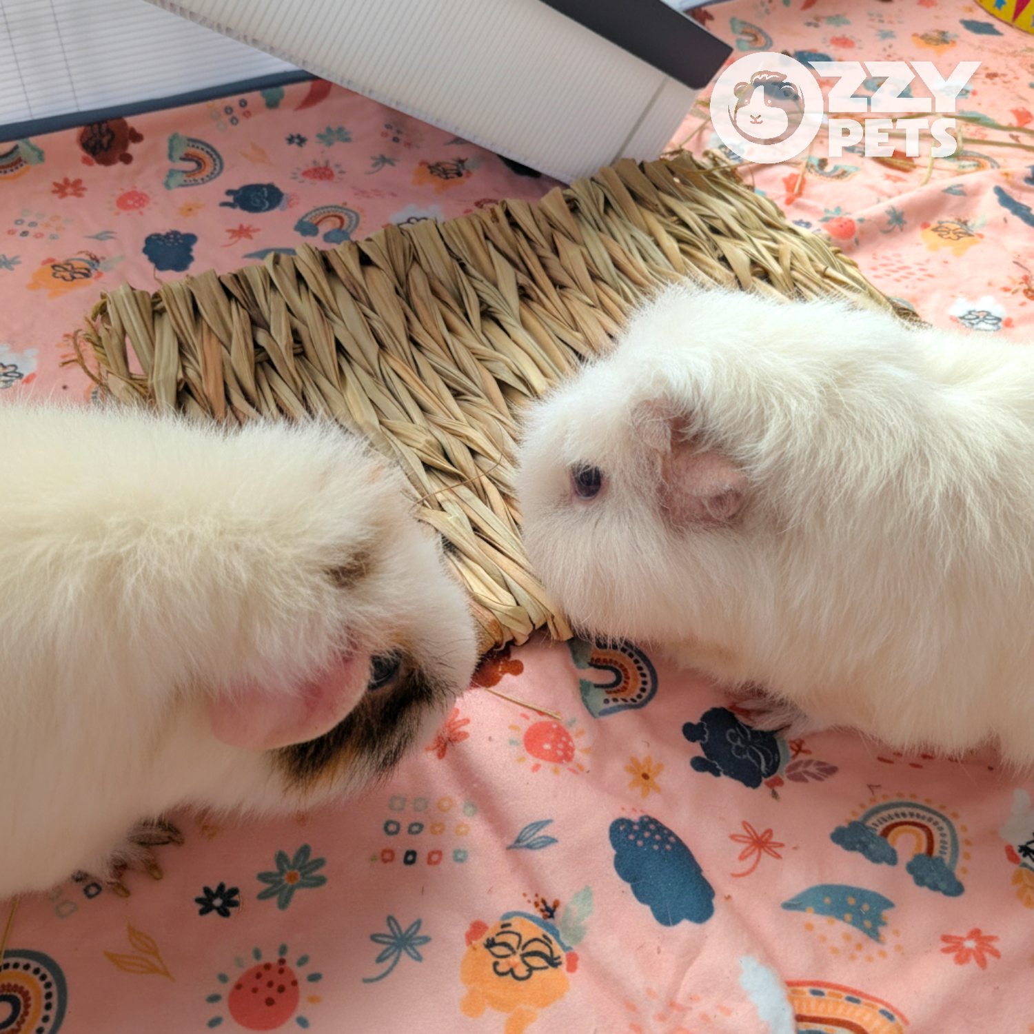 Ozzy Pets Yummy Yoga Mat – Enrichment Play Mat for Guinea Pigs & Rabbits