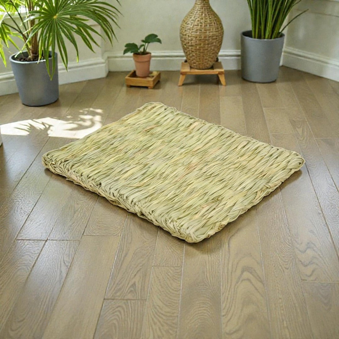 Ozzy Pets Yummy Yoga Mat – Enrichment Play Mat for Guinea Pigs & Rabbits