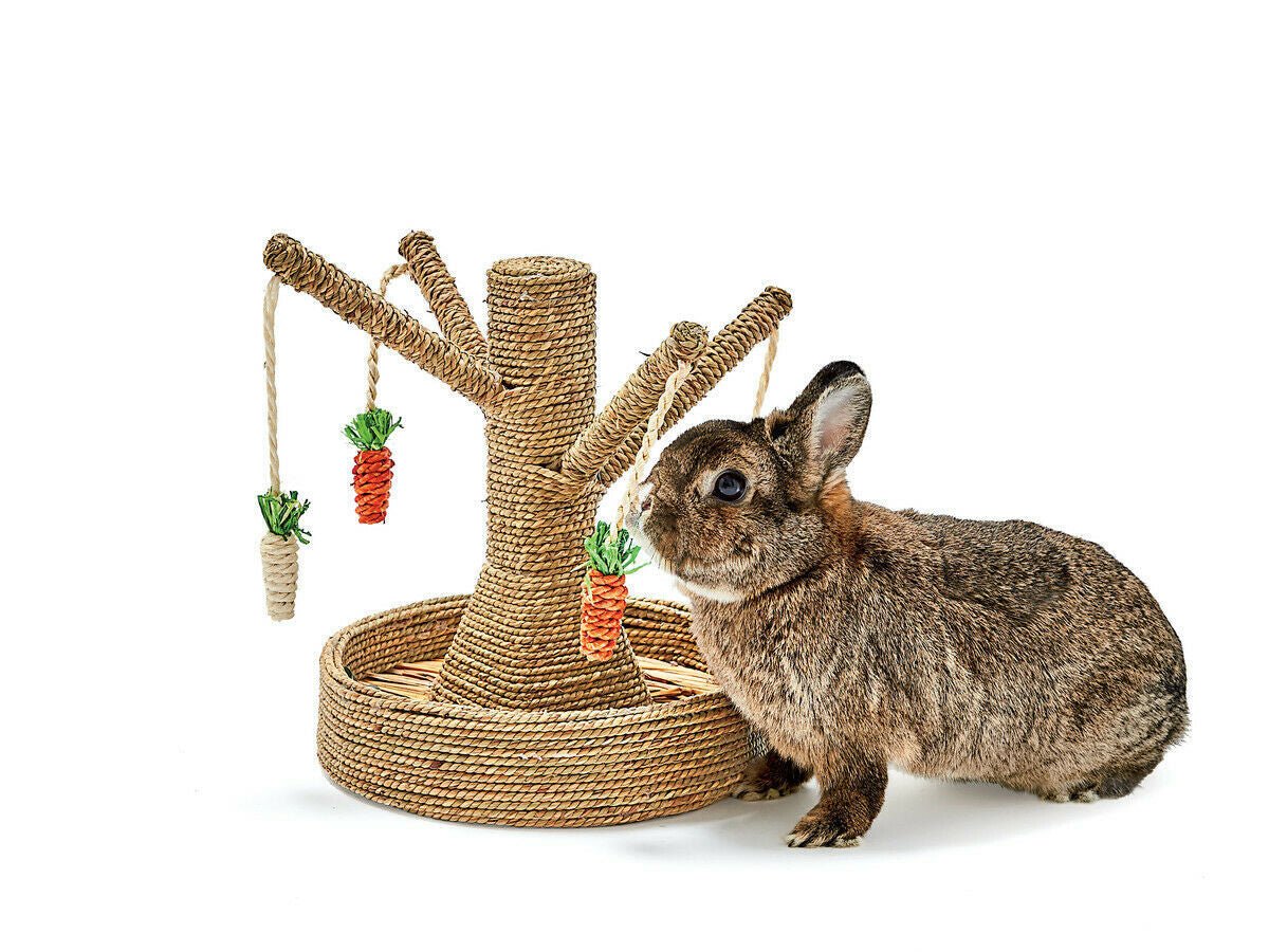 Bunny Fun Tree - Guinea Pigs Australia