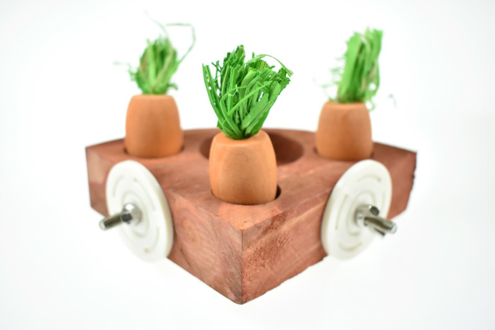 Carrot Toy 'n' Treat Holder