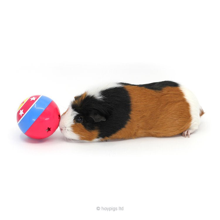 HayPigs! Circus Treat Ball - 3-in-1 Enrichment Toy